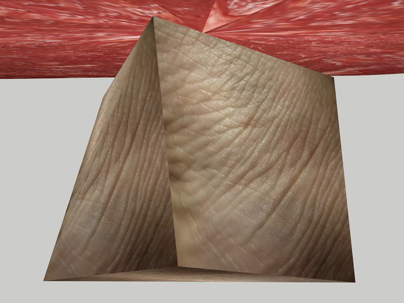 meatskin