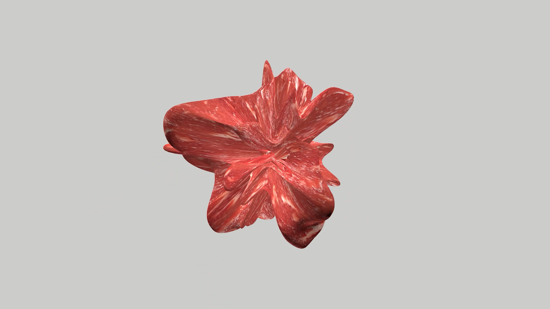 Test_Haut_1e