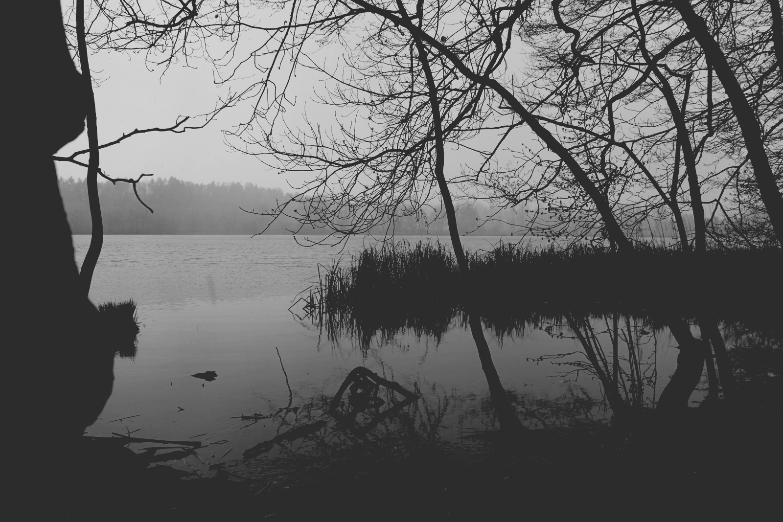 Katzensee_000_Original