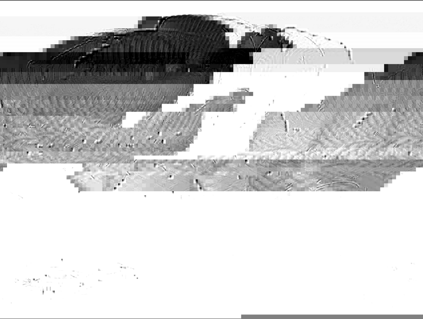 Progressiv_Glitch_002