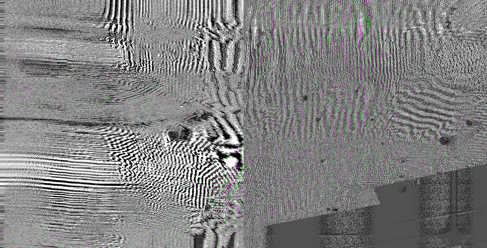 Unity_Mosh_Zebra_4