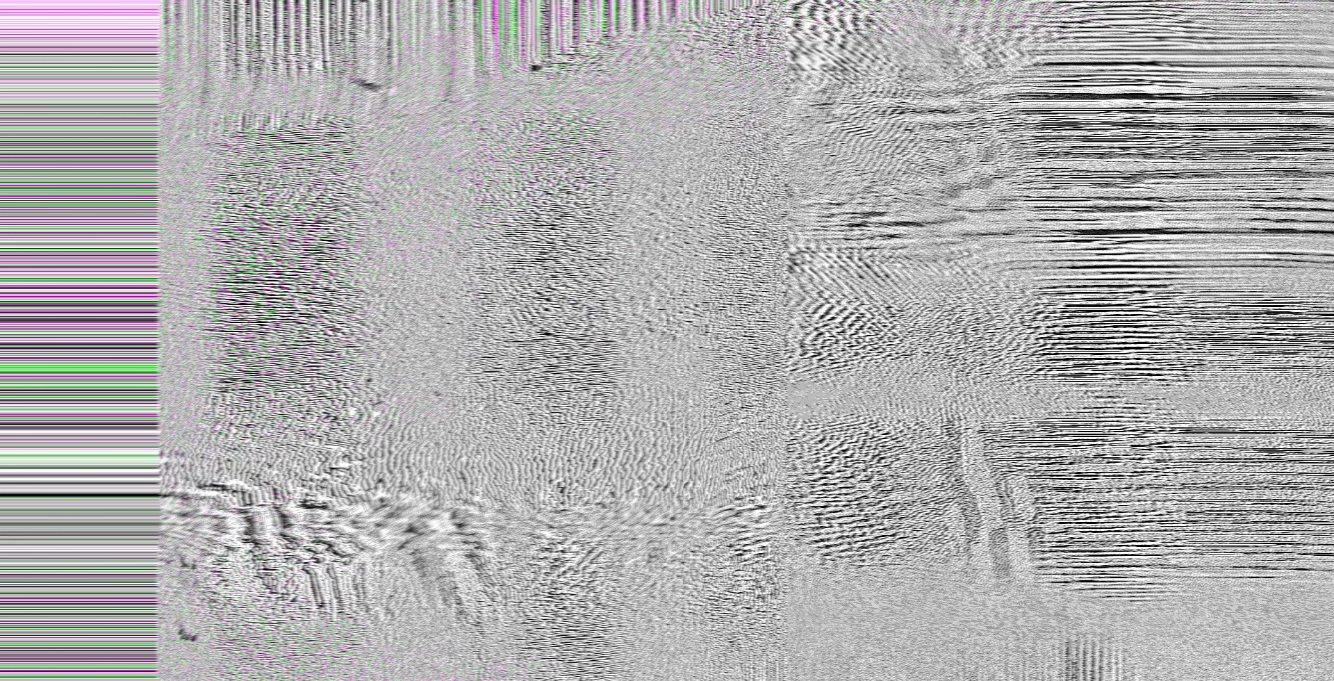 Unity_Mosh_Zebra_5