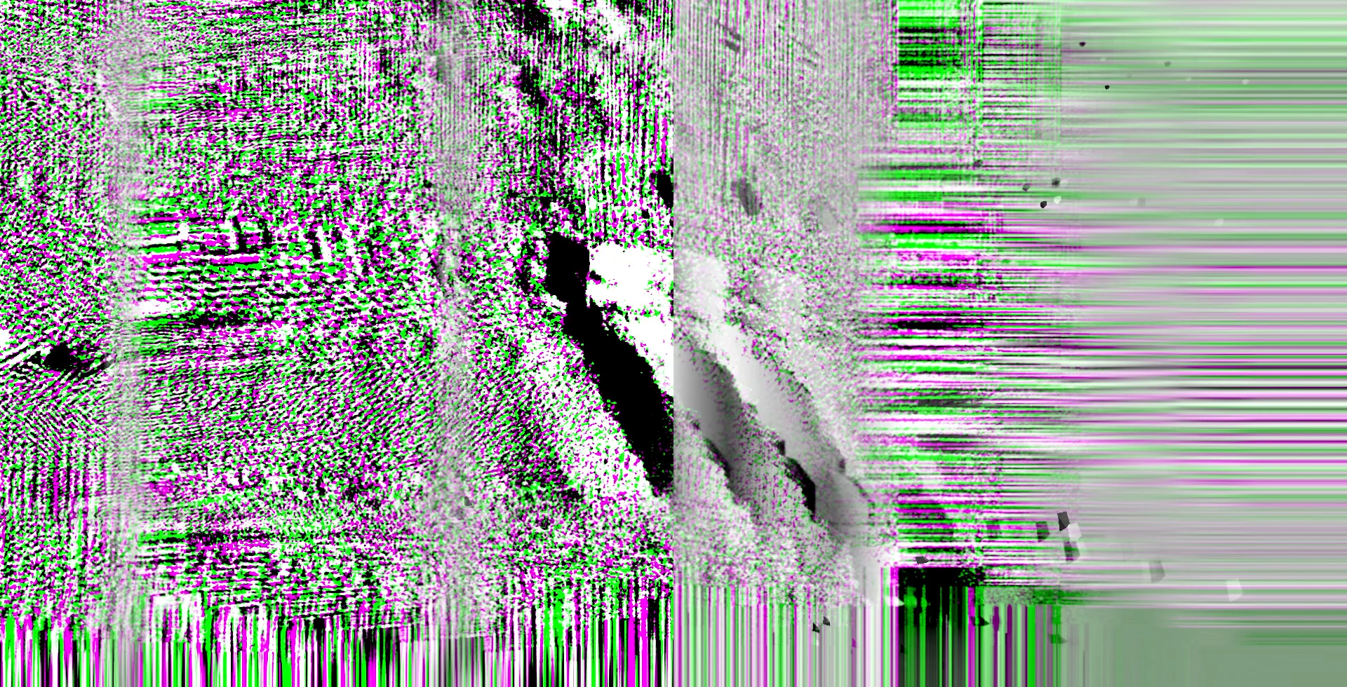 Unity_Mosh_Zebra_6